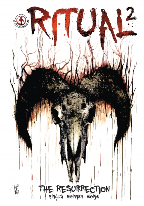 Cover image for book Ritual 2