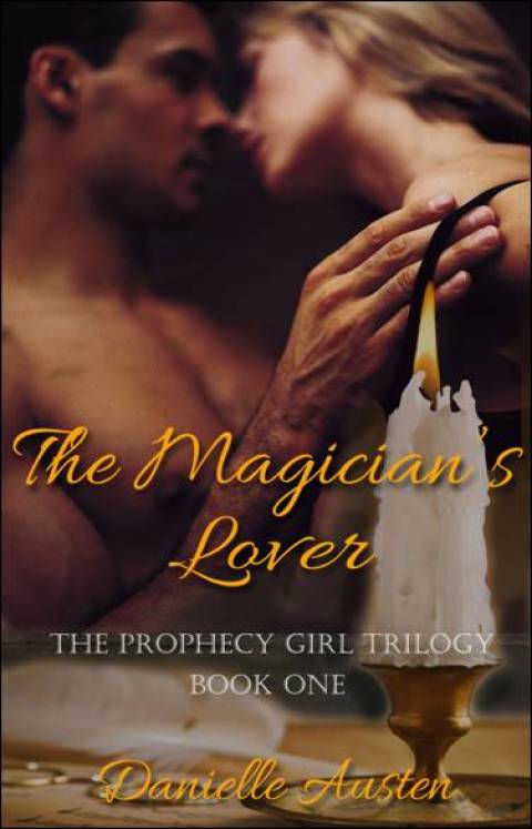 Cover image for book The Magician's Lover