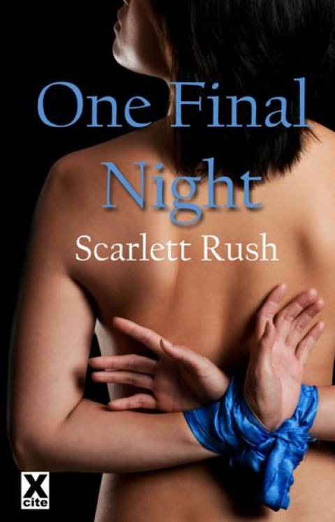 Cover image for book One Final Night