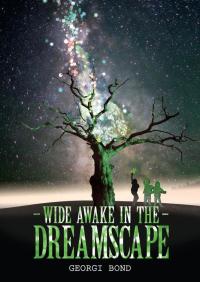 Cover image: Wide Awake in the Dreamscape 9781909477162