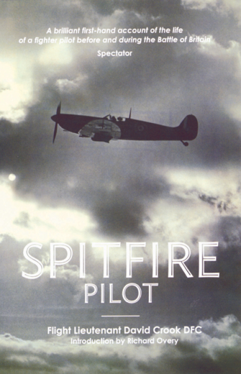 Spitfire Pilot 