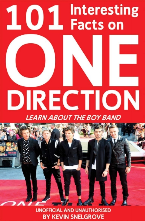 Cover image for book 101 Interesting Facts on One Direction