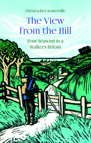 The View from the Hill