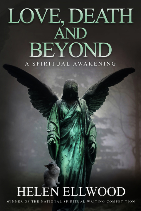 Cover image for book Love, Death and Beyond