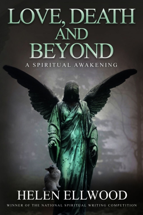 Cover image for book Love, Death and Beyond