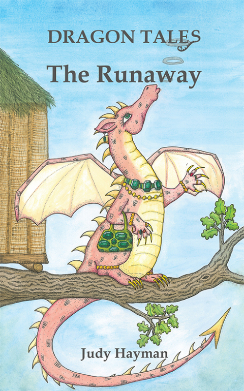 Cover image for book The Runaway