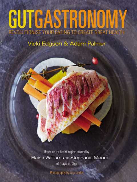 Cover image for book Gut Gastronomy