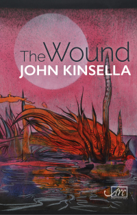 Cover image: The Wound 1st edition 9781910345979