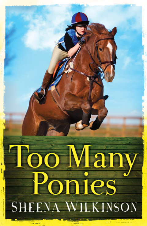 Too Many Ponies 