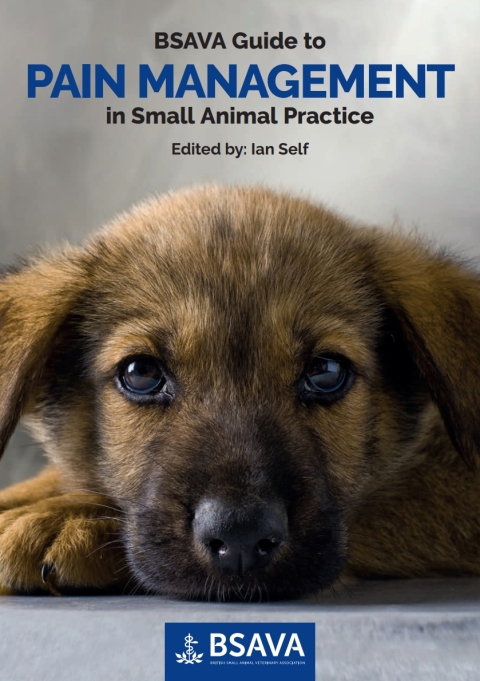 Cover image for book BSAVA Guide to Pain Management in Small Animal Practice