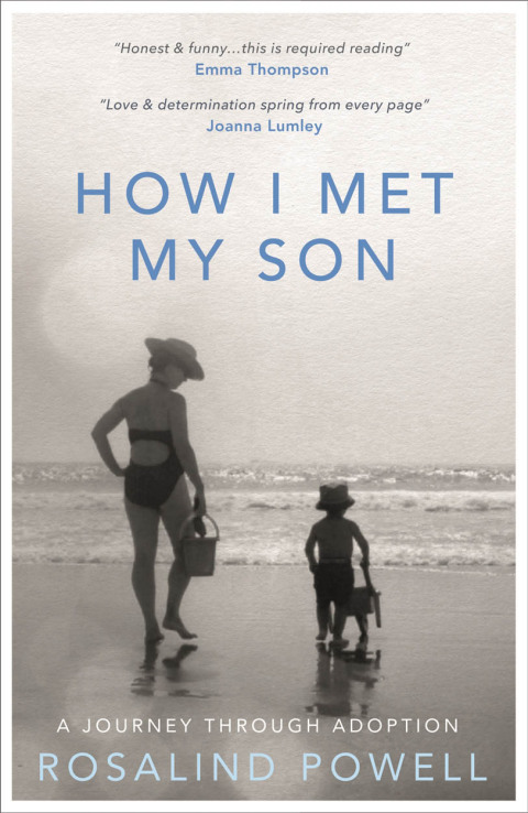 Cover image for book How I Met My Son