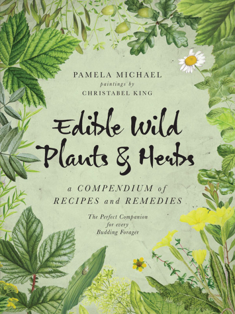 Edible Wild Plants \u0026 Herbs 