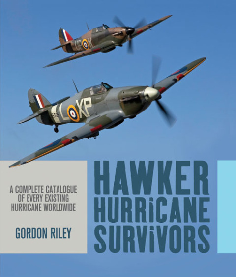 Cover image for book Hawker Hurricane Survivors