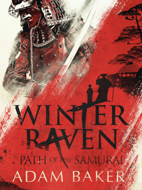 Cover image for book Winter Raven