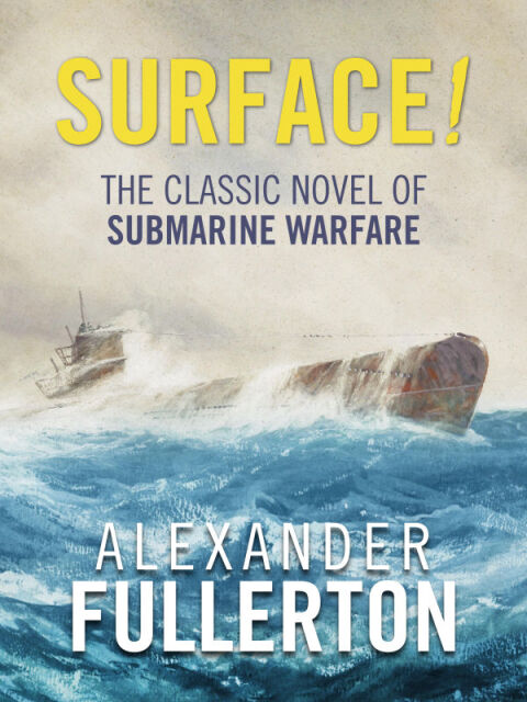 Cover image for book Surface!