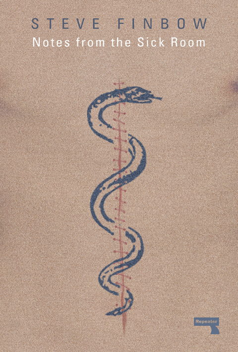 Cover image for book Notes from the Sick Room