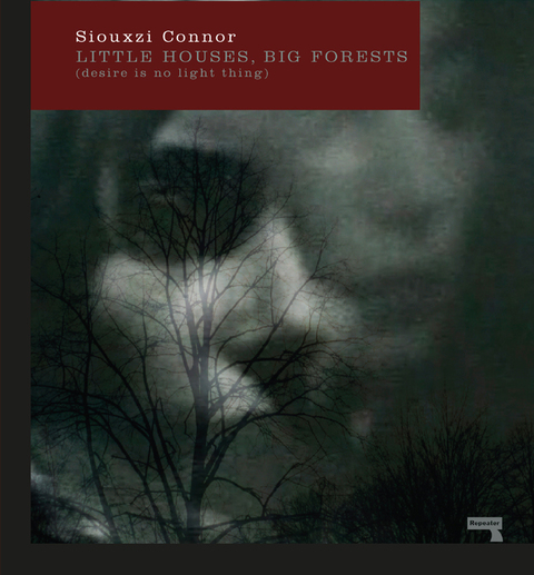 Cover image for book Little Houses, Big Forests