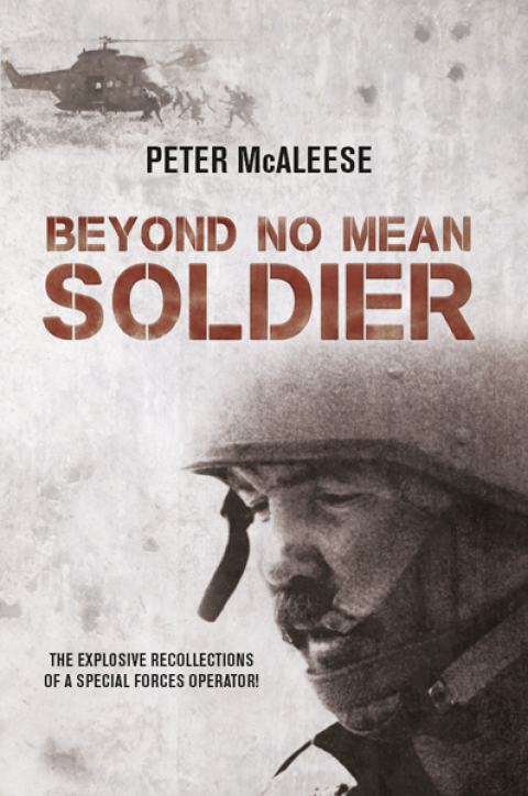 Cover image for book Beyond No Mean Soldier