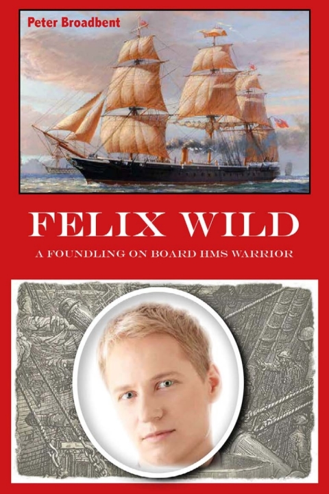 Cover image for book Felix Wild
