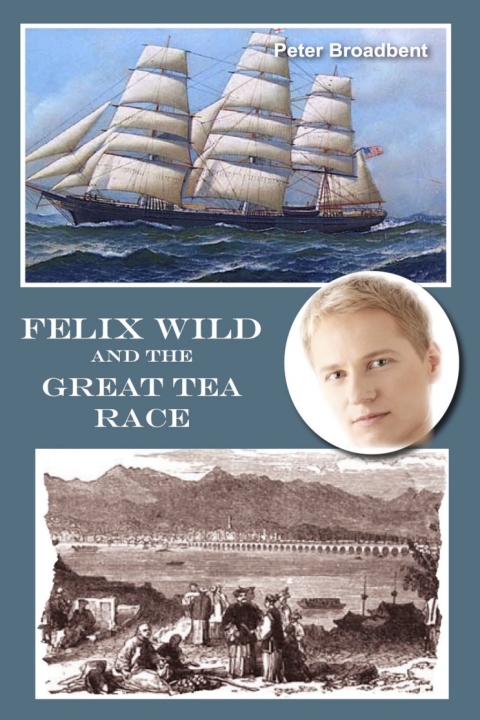 Cover image for book Felix Wild and the Great Tea Race
