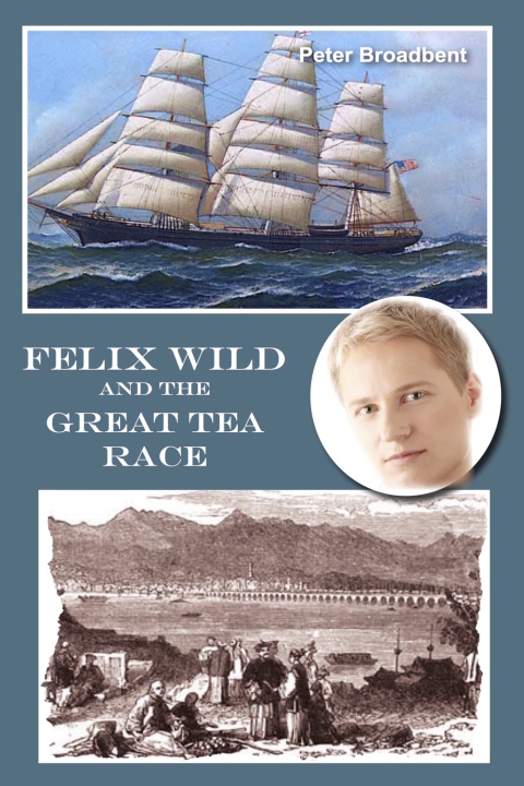Cover image for book Felix Wild and the Great Tea Race