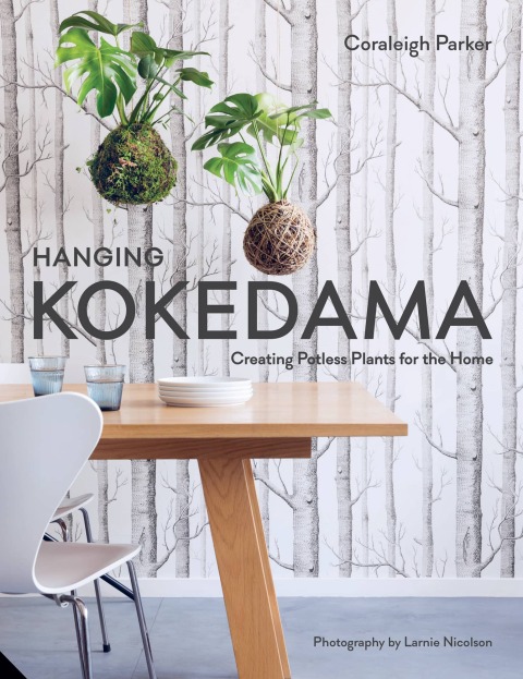 Cover image for book Hanging Plants