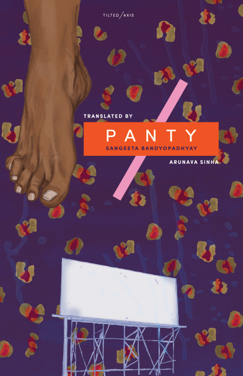 Cover image for book Panty
