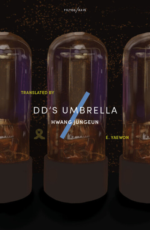 Cover image for book dd's Umbrella
