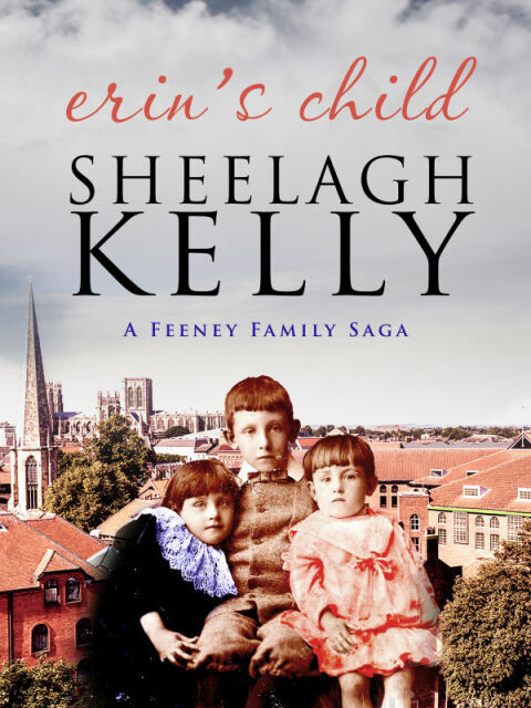 Cover image for book Erin's Child