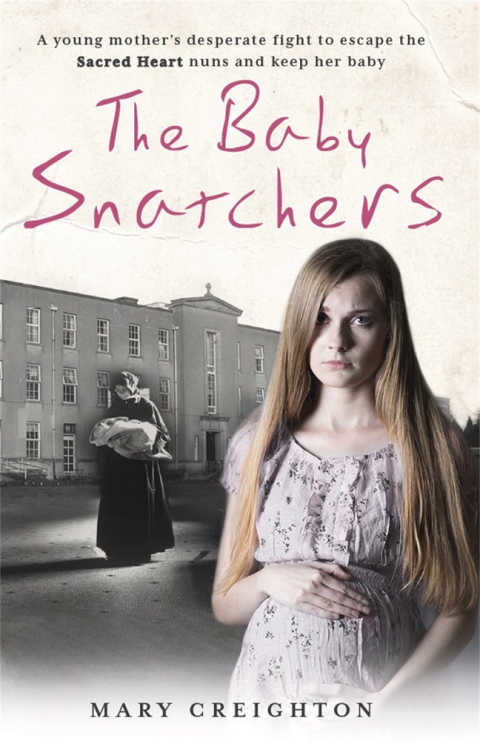 Cover image for book The Baby Snatchers