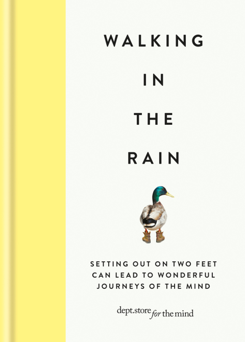 Cover image for book Walking in the Rain
