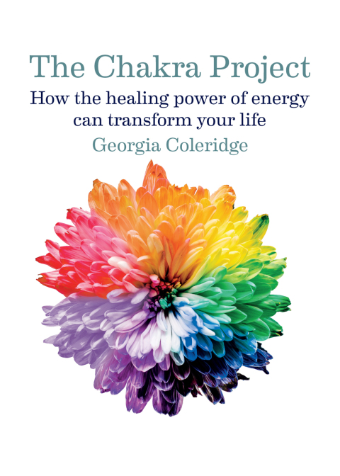 Cover image for book The Chakra Project