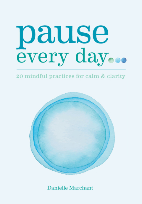 Cover image for book Pause Every Day