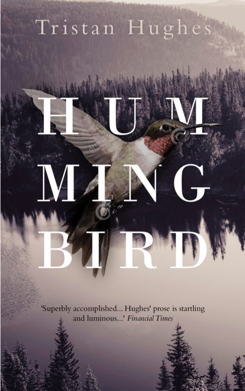 Cover image for book Hummingbird