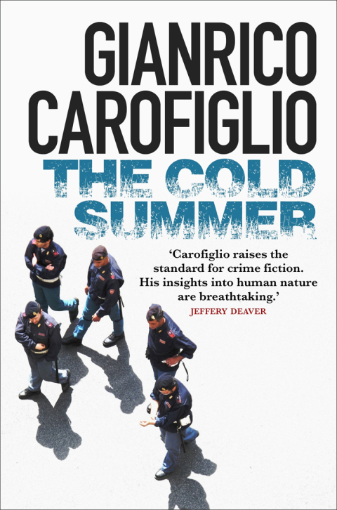 Cover image for book The Cold Summer