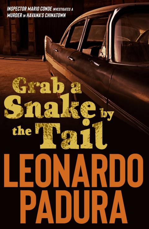 Cover image for book Grab a Snake by the Tail