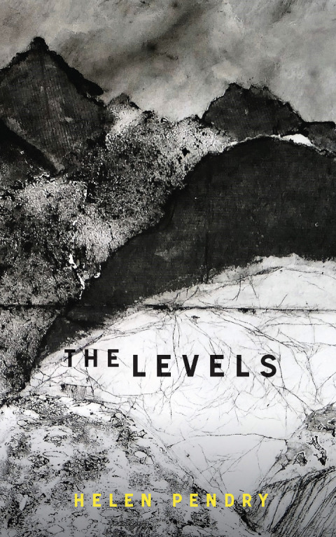 Cover image for book The Levels