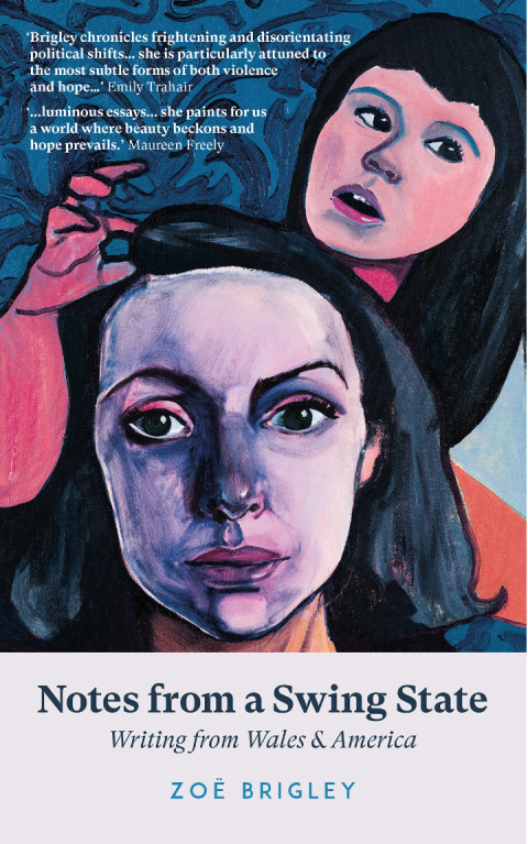 Cover image for book Notes From A Swing State