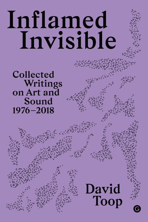 Cover image for book Inflamed Invisible