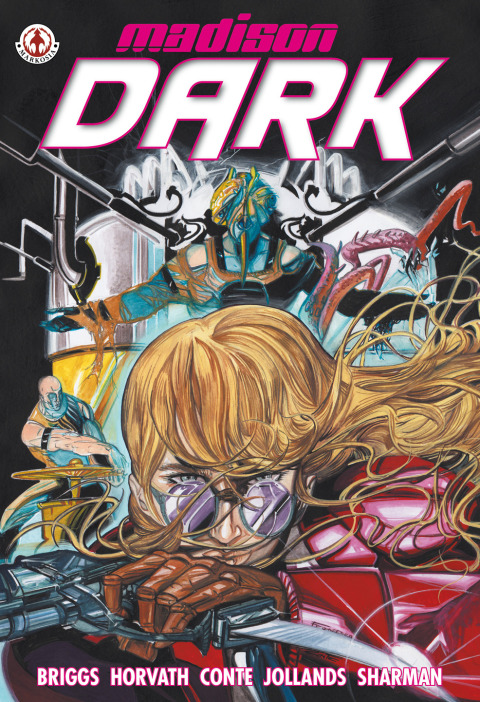 Cover image for book Madison Dark