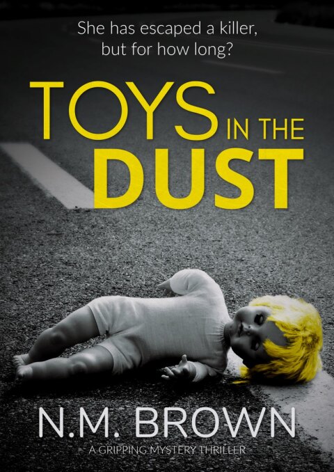 Cover image for book Toys in the Dust