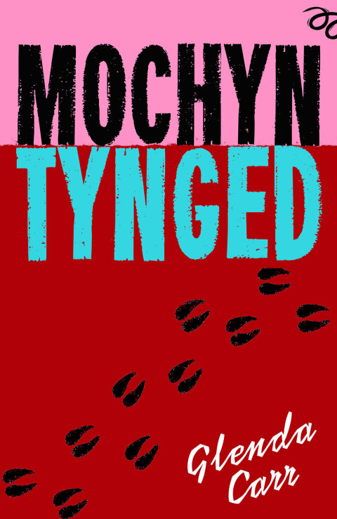 Cover image for book Mochyn Tynged