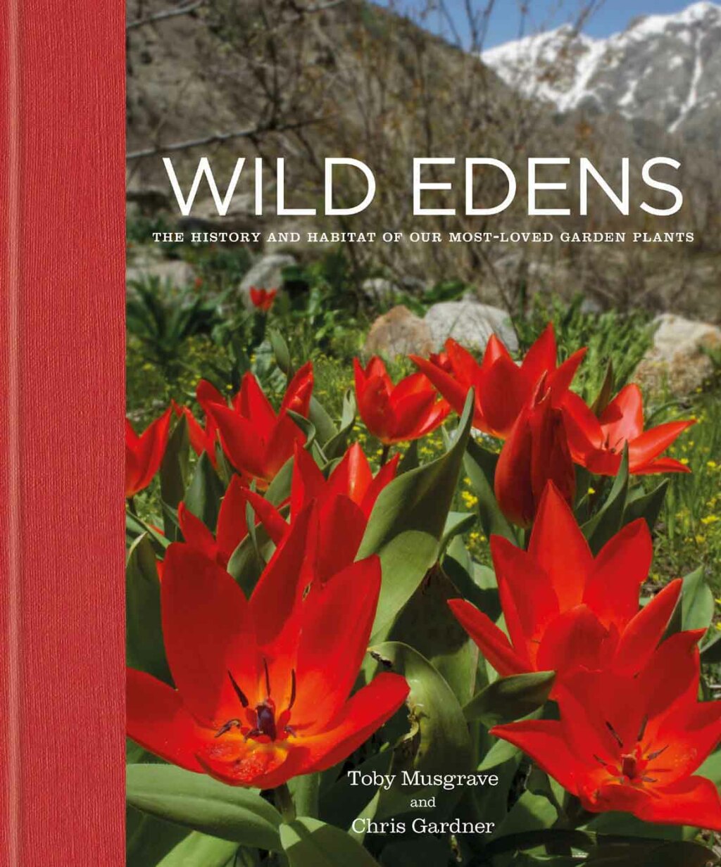 ISBN 9781914239250 product image for Wild Edens (eBook) | upcitemdb.com