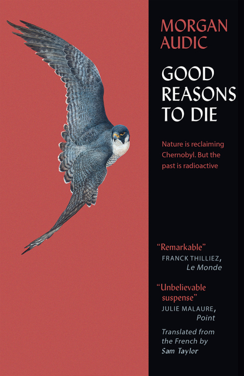 Cover image for book Good Reasons to Die