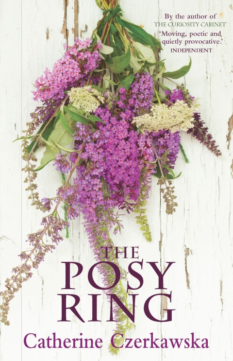Cover image for book The Posy Ring