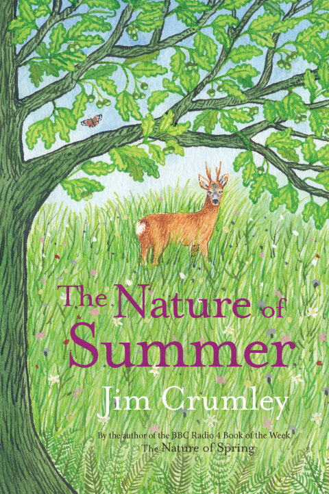 Cover image for book The Nature of Summer