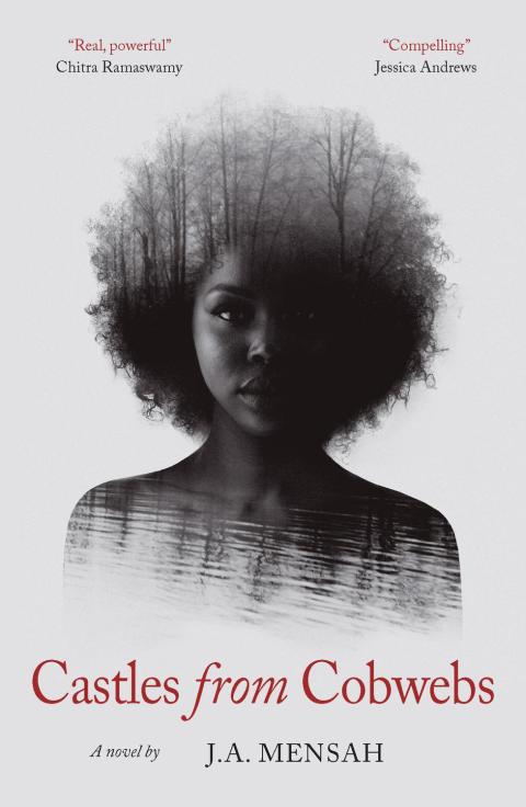 Cover image for book Castles from Cobwebs