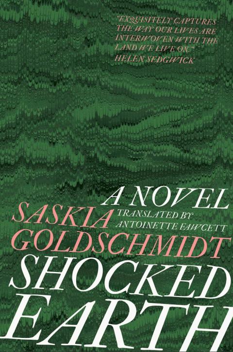 Cover image for book Shocked Earth