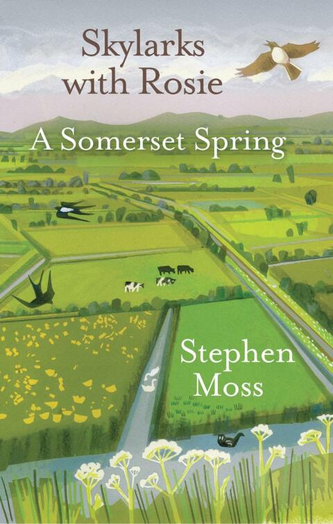 Cover image for book Skylarks with Rosie