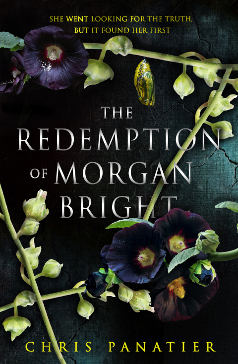 Cover image for book The Redemption of Morgan Bright